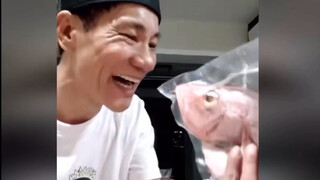 Fish, oh fish