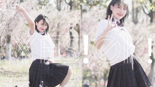 [Hertz] Danced to the theme song of Youth With You 2, YES!OK!, under the cherry blossom tree (●°u°●)