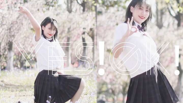 [Hertz] Menari mengikuti lagu tema Youth With You 2, YES!OK!, di bawah pohon sakura (●°u°●)