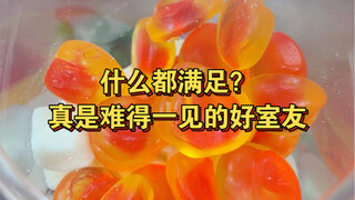 เพื่อนร่วมห้องใช้น้ำกะทิรดน้ำดอกไม้ตัวน้อยที่รักทุกวันเหรอ?