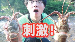回老家打野，在河边看见两只龙虾在秀恩爱，于是就把它们烤了。