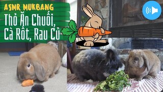 Mukbang ASMR Thỏ Ăn Cà Rốt, Chuối, Rau - Mukbang ASMR Bunnies eat carrot, banana, vegetable