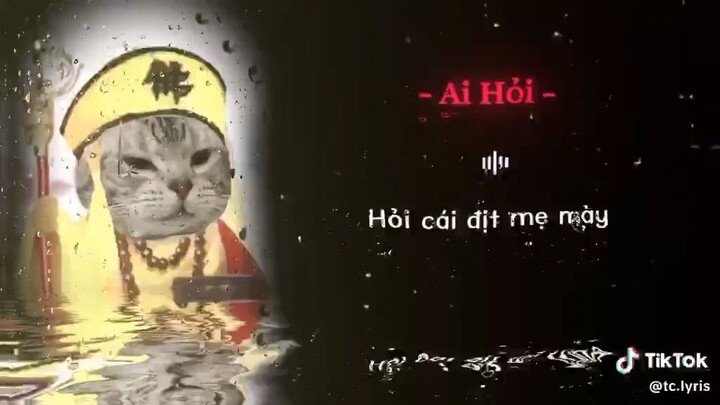 trả lời ai hỏi