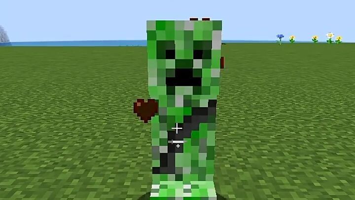 Visible injuries in Minecraft