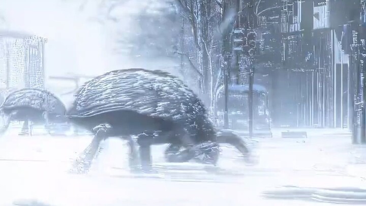 The church recorded their wedding and also witnessed their funeral.