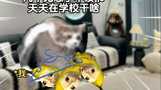 Yêu Hận Tình Thù ~2 giữa chị và em