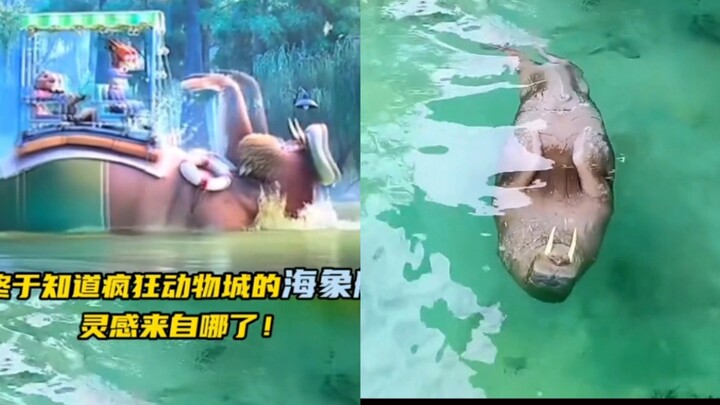 سفينة الفظ البحري مستوحاة من الواقع، وهكذا تسبح حيتان الفظ في تشانغ لونغ!