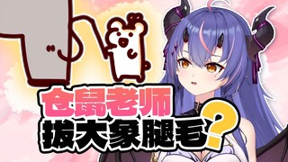 仓鼠！一种神奇的生物！