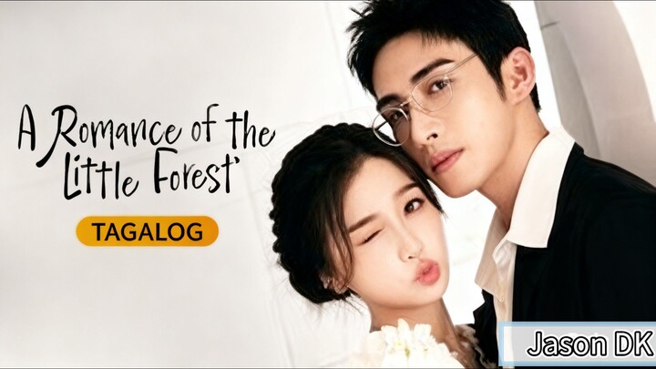 A Romance Of The Little Forest Episode 15 Tagalog Dub [1080P HD]