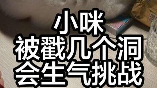 Xiao Mi is gradually turning into a beehive.