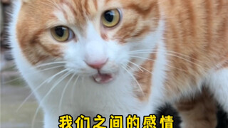 你是小花花 我是泥巴巴
