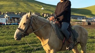 骑马马不走怎么办