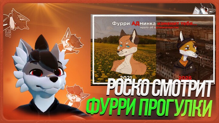 🐺 Роско смотрит Du Föx - Фурри АДминка... А оно тебе надо...