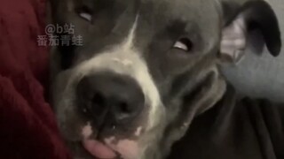tiktok难绷抽象记录＃100 （纯净版）