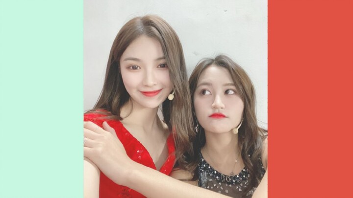 [Xinyang] Xu Yangyuzhuo: Brother Zhang Xin, Brother Zhang Xin, Brother Zhang Xin, Brother Zhang Xin,