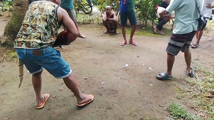 2×win...bangkas ko yarn