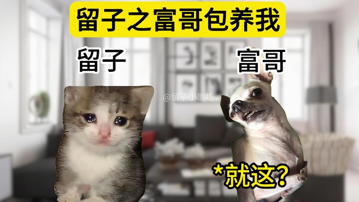 What it's like to use AI to write a paper