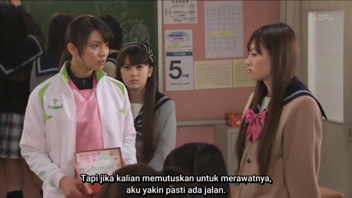 Episode 15 Sakura Kara no Tegami Sub Indo (2011)