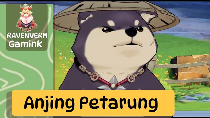 Diajak DUEL sama Anjing Preman ini😏😱, siap mencetak score! 😎