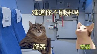 空姐：你最好是在说牙刷