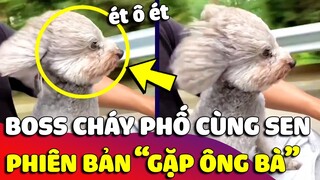 Được Sen chở đi 'CHÁY PHỐ', Boss như muốn 'TRẦM CẢM' vì vừa đi vừa lo về gặp ông bà 🤣 Gâu Đần