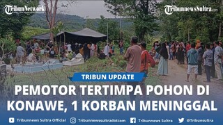 Pengendara Motor Tertimpa Pohon di Konawe saat ke Pesta Pernikahan, 1 Korban Meninggal
