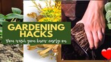 DIY EASY HACKS TO GROW YOUR OWN PLANTS   || Gardening Tips