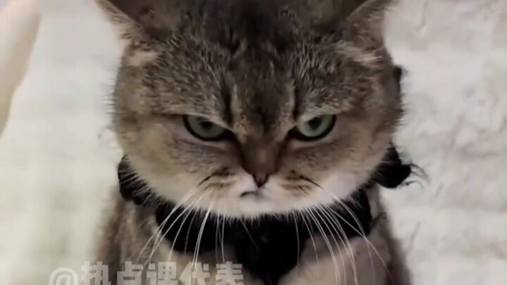 มีมี่ ฉันจะไม่หัวเราะอีกแล้ว