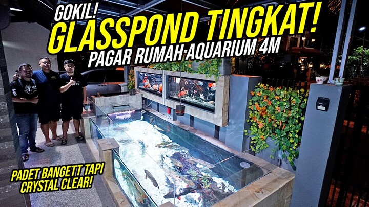 GREBEK!!! GLASPOND IKAN PREDATOR PADET TAPI CRYSTAL CLEAR!!! - DI TINGKAT AQUARIUM PAGAR 4 METER!!!