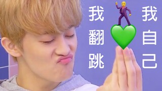 【NCT DREAM】I Cover Myself! Dreamy Dance Covers of NCT127/U Compilation