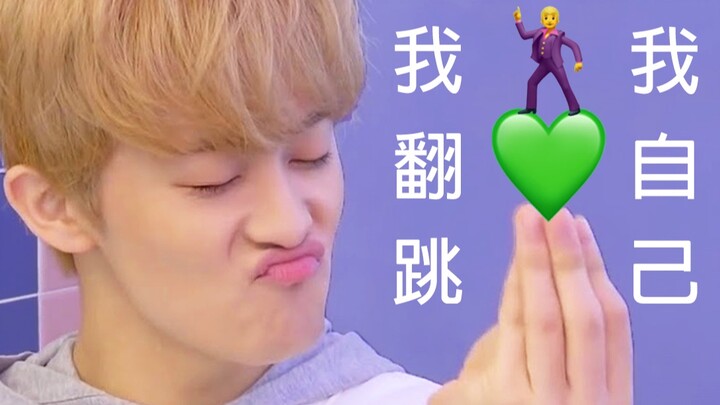 【NCT DREAM】I Cover Myself! Dreamy Dance Covers of NCT127/U Compilation