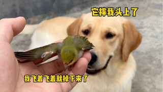 It's amazing that I often dream about you.