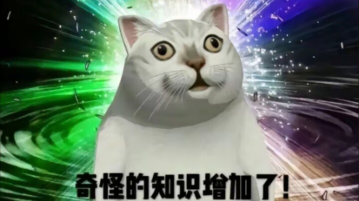 Immortal cats, myriad in number