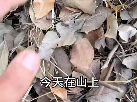 Creepily Thought-Provoking