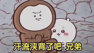 老师，好像有只蟑螂想炒你【老登卡哇】