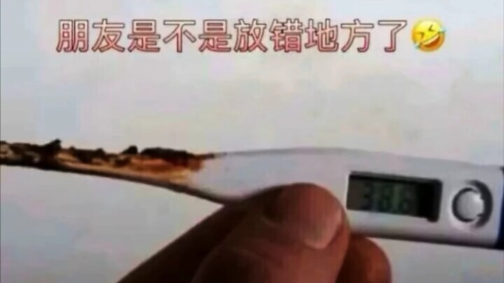 【Meme Blind Box】A Thermometer Covered in Snow (doge)