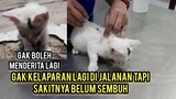Anak Kucing Yang Sakit Di Pos Warga Menunggu Pertolongan Akhirnya Di Priksa Ke Dokter.!