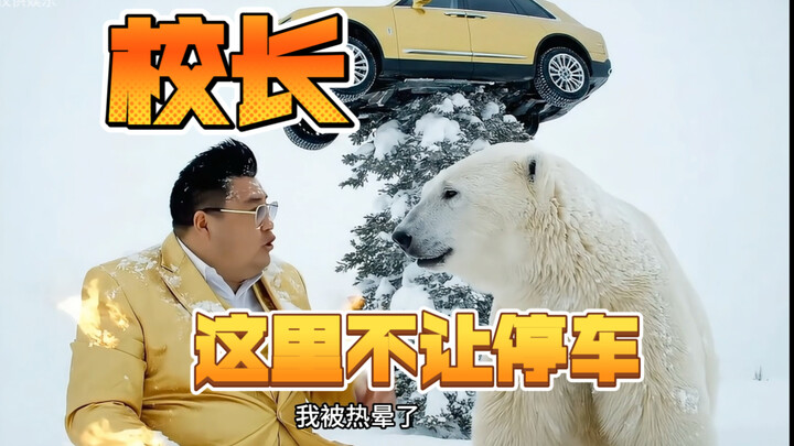 校长，这里不让停车，北极熊