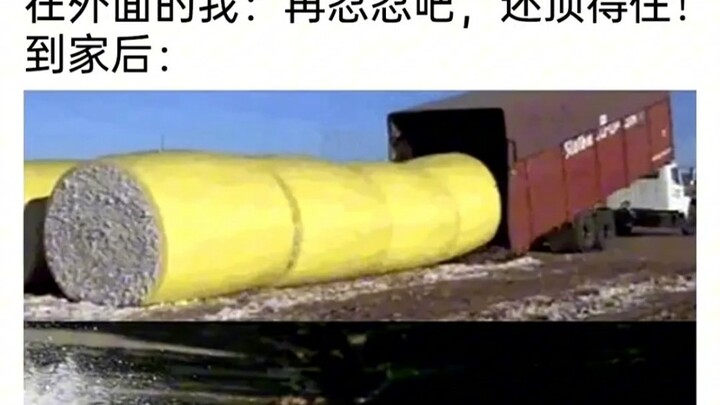有趣有趣图片