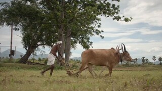 【EngSub】 Kadaisi Vivasayi (2021) Tamil 1080p