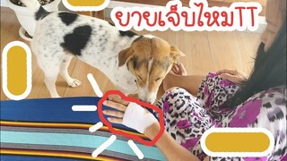 โลกของแสนดี ตอน ยายผ่าตัดมาเจ็บมากไหมTT