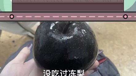 نكتة جديدة عن الكمثرى المجمدة: "الكمثرى المجمدة التي تُؤكل نيئة" – طلاب الجامعات