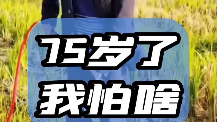 Ở tuổi 75, tôi đốt rơm