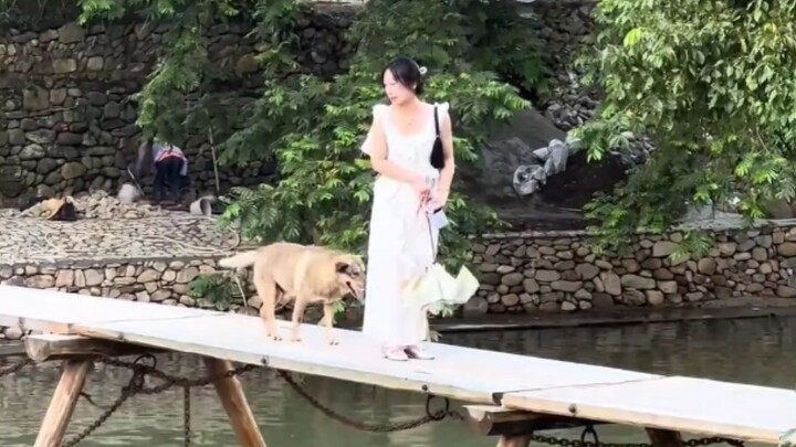 Dog: Who says life doesn’t have that many viewers?