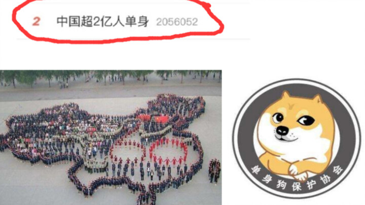 Over 200 million people in China are single!