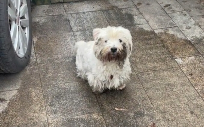 วันนั้นฉันโมโหสุดๆ