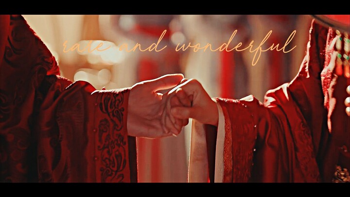 ▻ a rare and wonderful dream.