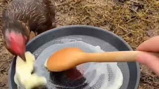 "Blind Monk with Great Food" brings his own bowls and chopsticks