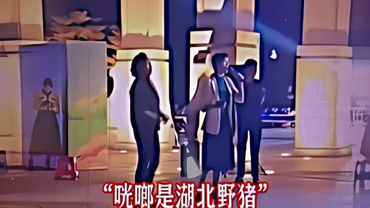 湖北的野猪