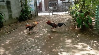 super